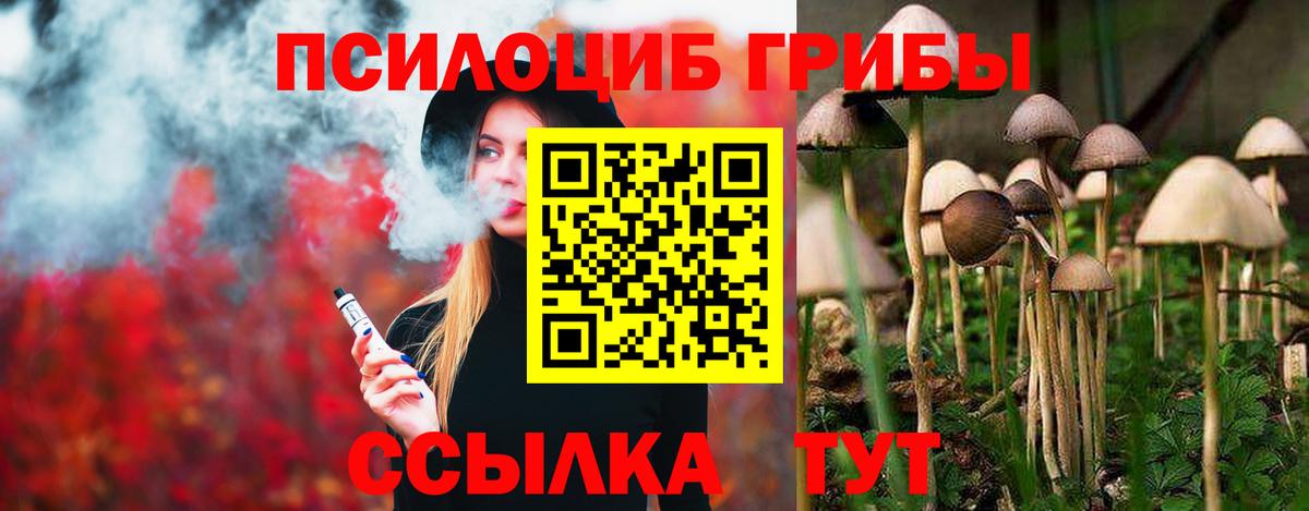 Воронеж  Псилоцибиновые грибы мицелий  Псилоцибиновые грибы Magic Shrooms  где можно купить   Вход с VPN 
